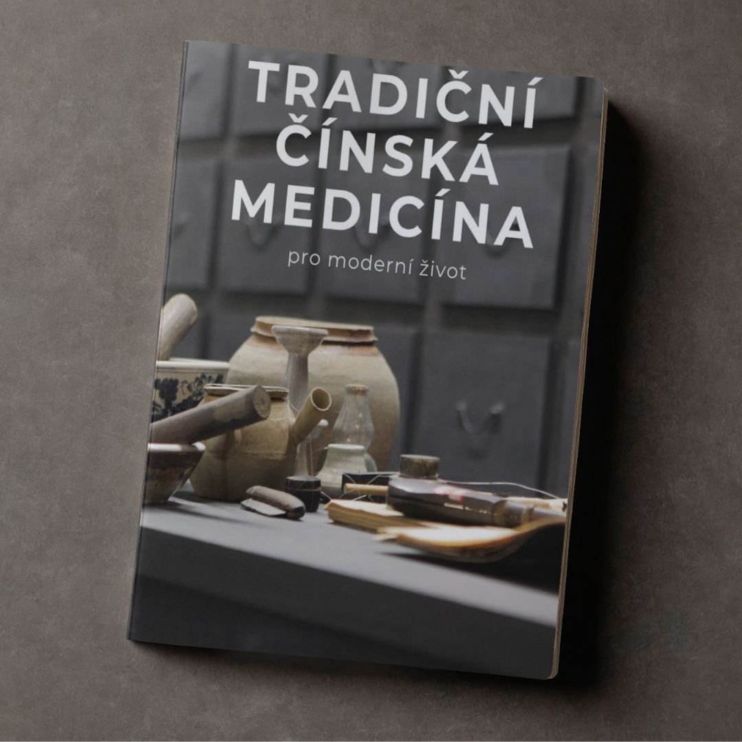 ebook Tradičná čínska medicína pre moderný život - 208 strán