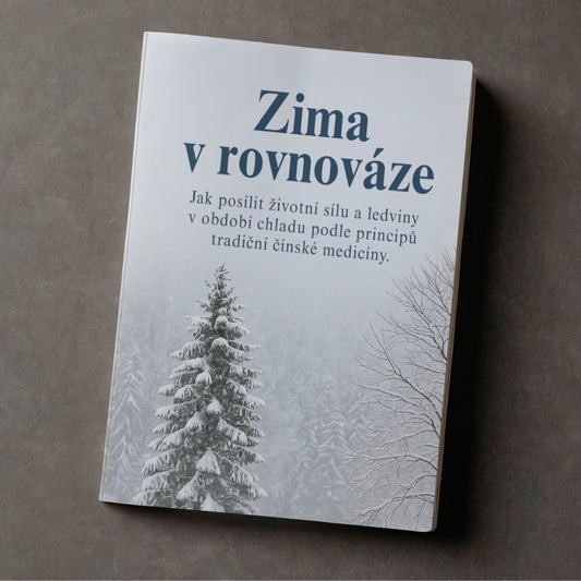 E-kniha Zima v rovnováze - posílení životní síly a ledvin