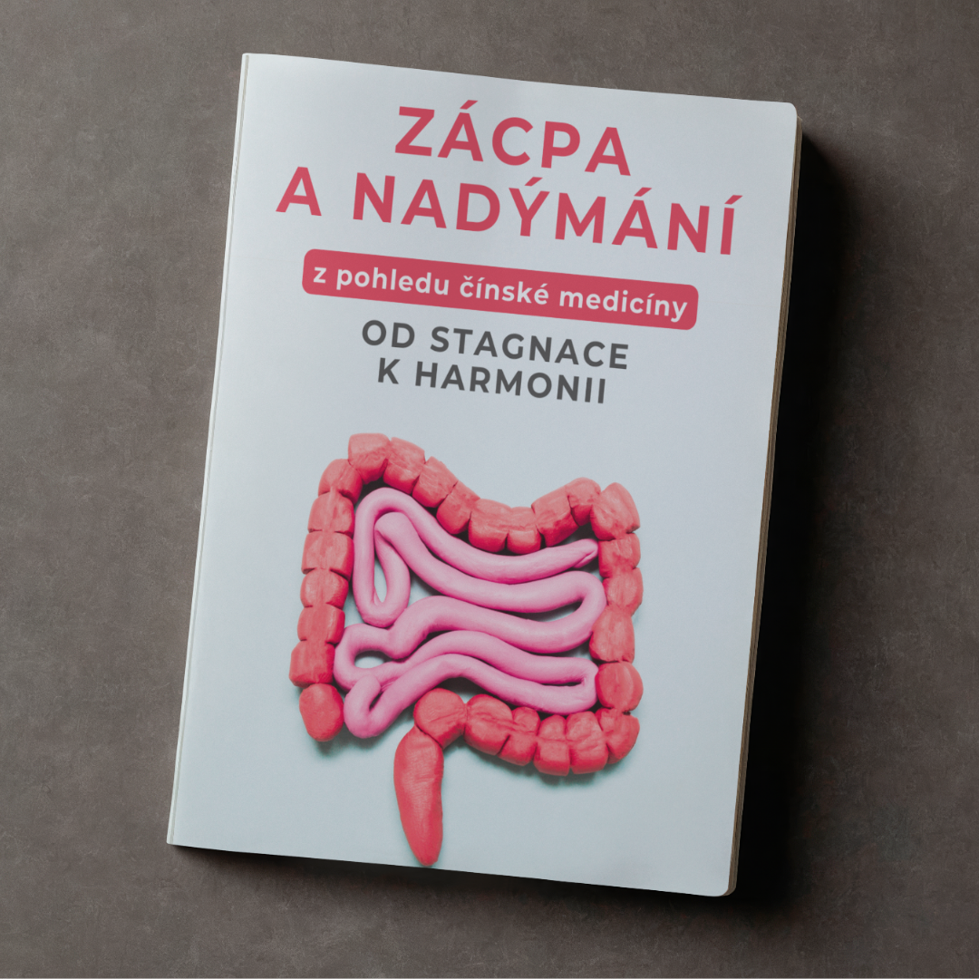 ebook Constipation and Bloating from the Perspective of Chinese Medicine