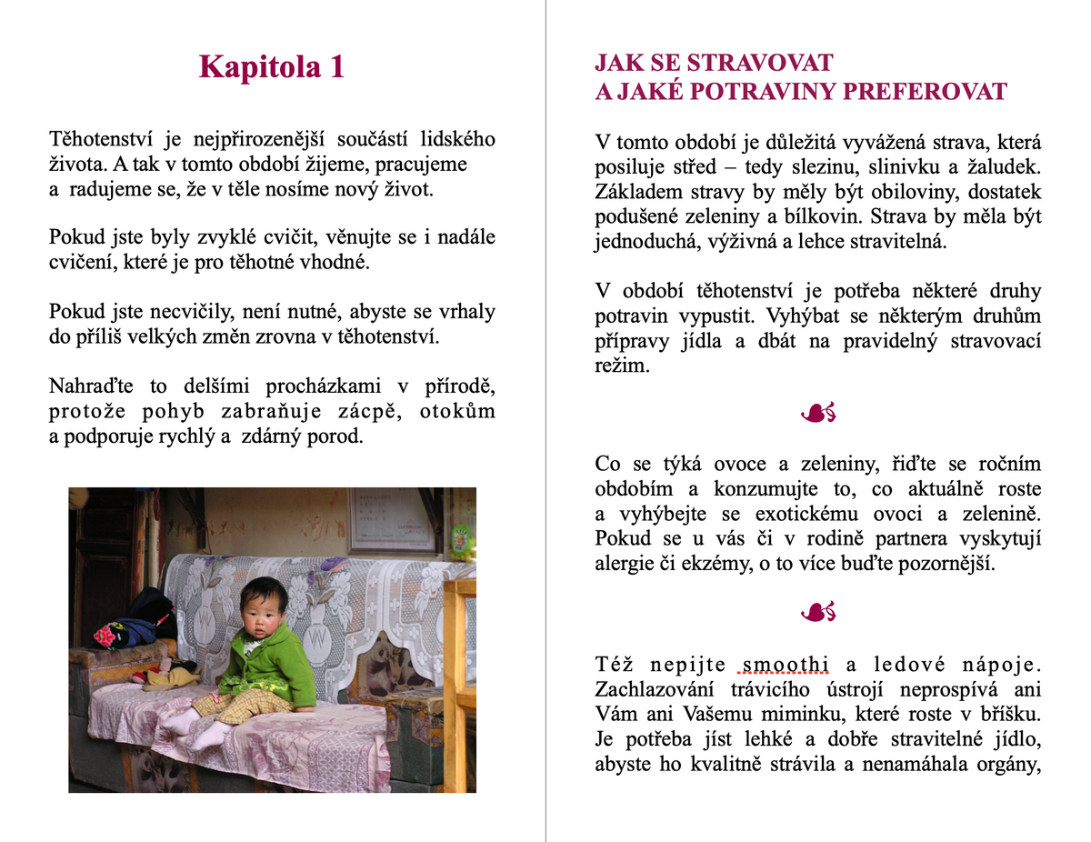 eBook - Food as Medicine during Pregnancy